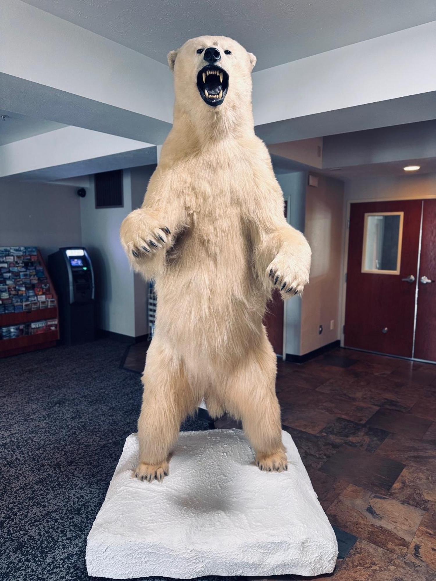 Hotel Wyndham Garden Anchorage Airport Esterno foto